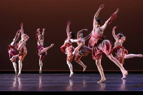 Petal Play Petal Play