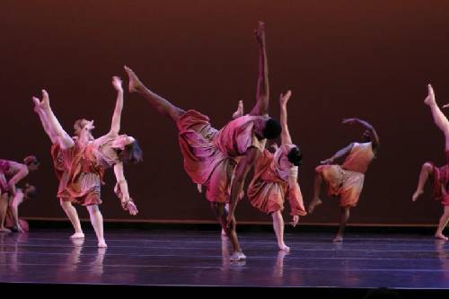 Petal Play Petal Play